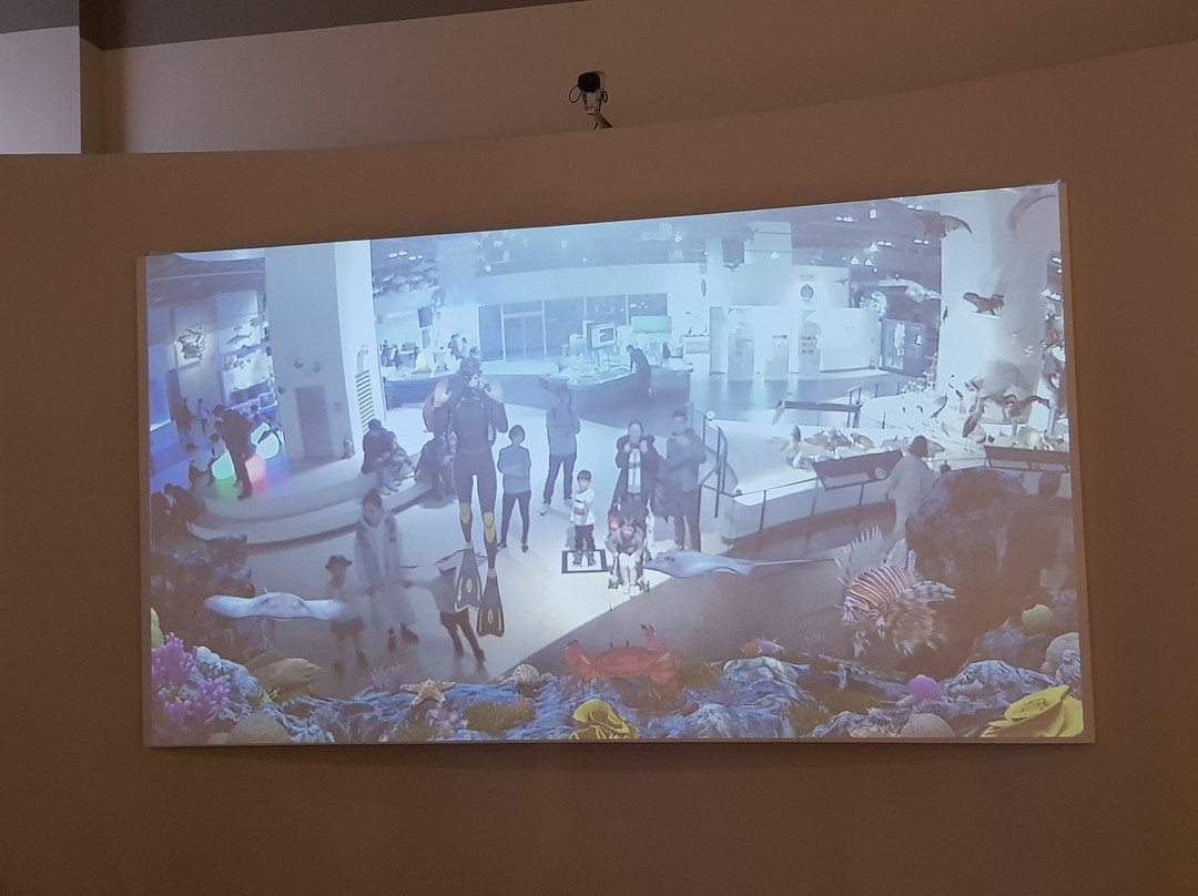 National Gwacheon Science Museum-果川市必去景点