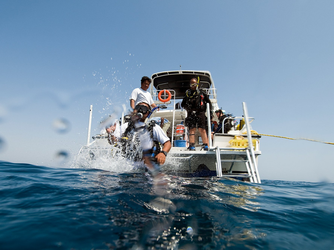Desert Sea Divers-吉达必去景点