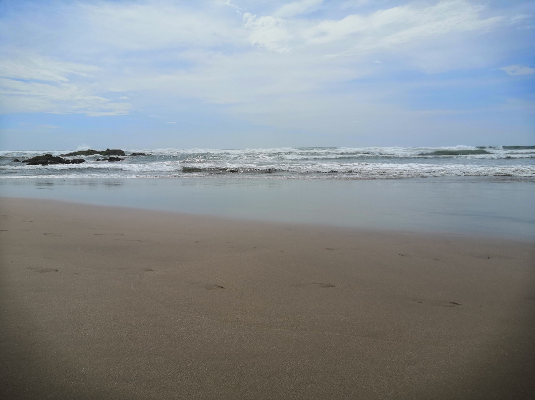Playa Cerritos景点图片