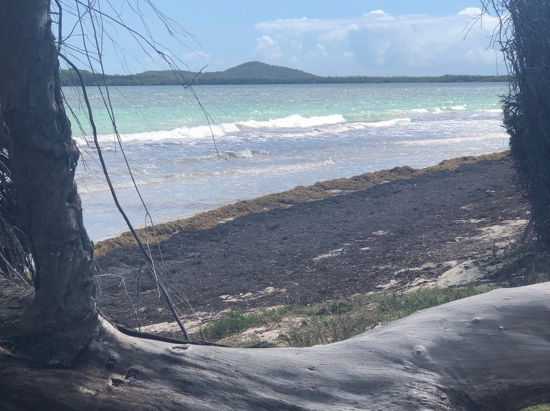 Reserva Natural Medio Mundo y Daguao-Ceiba必去景点