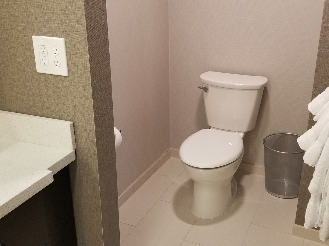 格林斯伯勒机场万豪SpringHill Suites酒店主图
