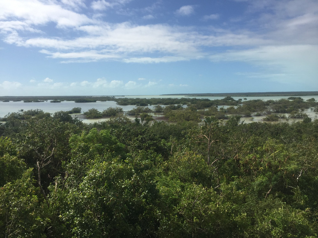 Flamingo Pond Overlook