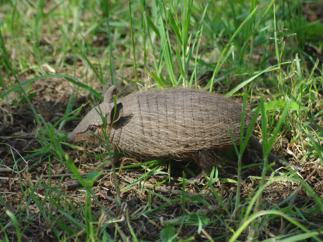 Reserva Experimental Horco Molle景点图片