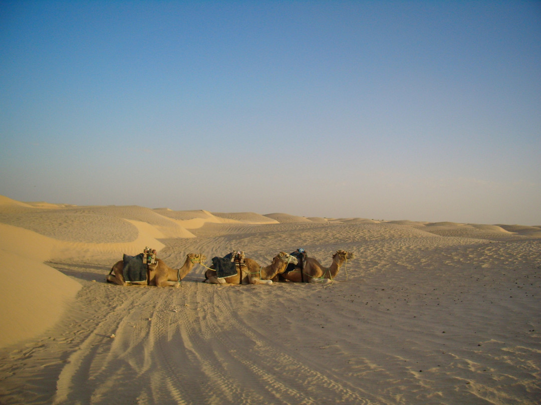 Silence Du Desert-杜兹必去景点