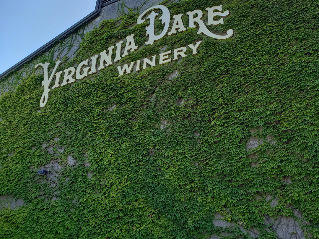 Francis Ford Coppola Winery Too!-Geyserville必去景点