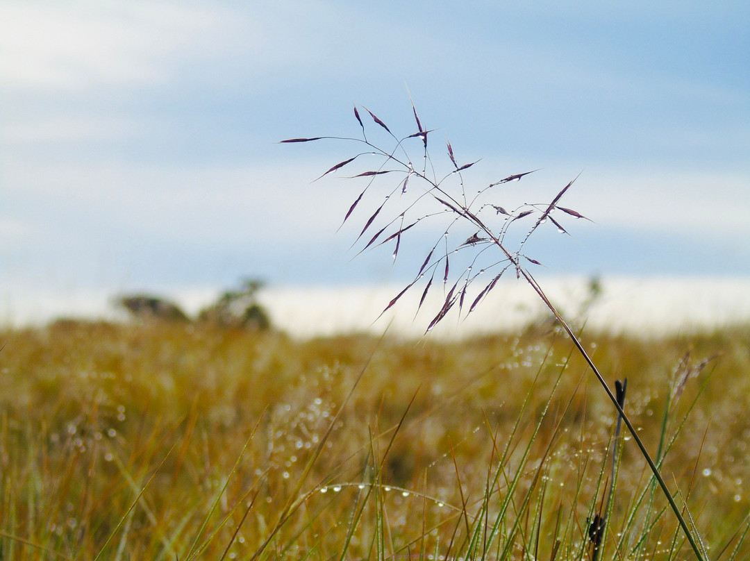 L S L Adventure Travels & Tours-Marawila必去景点