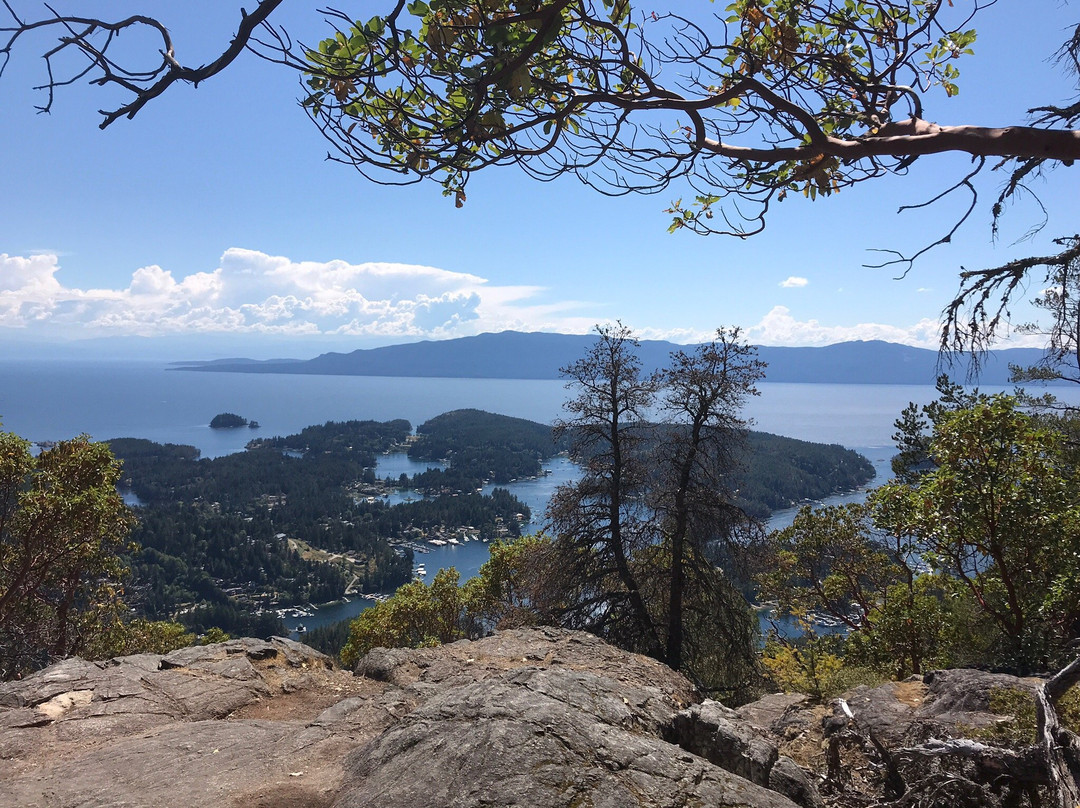 Mount Daniel-阳光海岸必去景点
