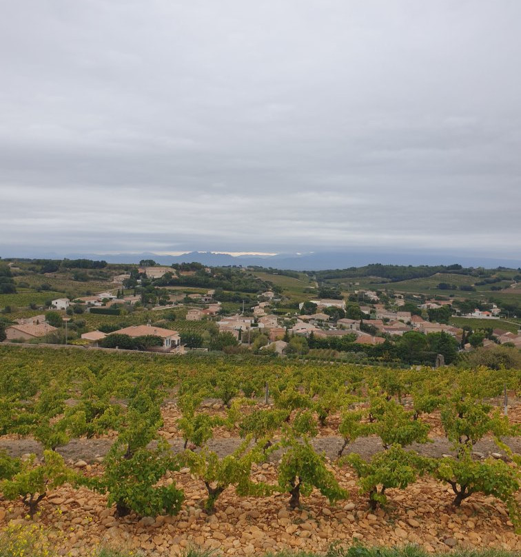 Chateau de Pape Jean XXII景点图片