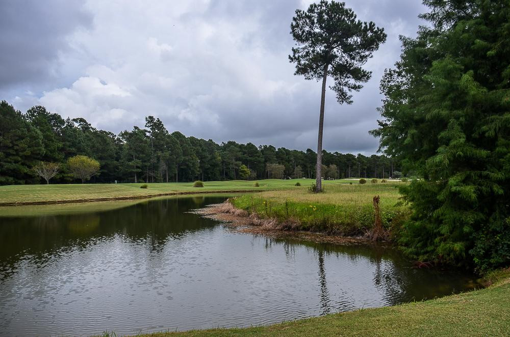 Crow Creek Golf Course景点图片