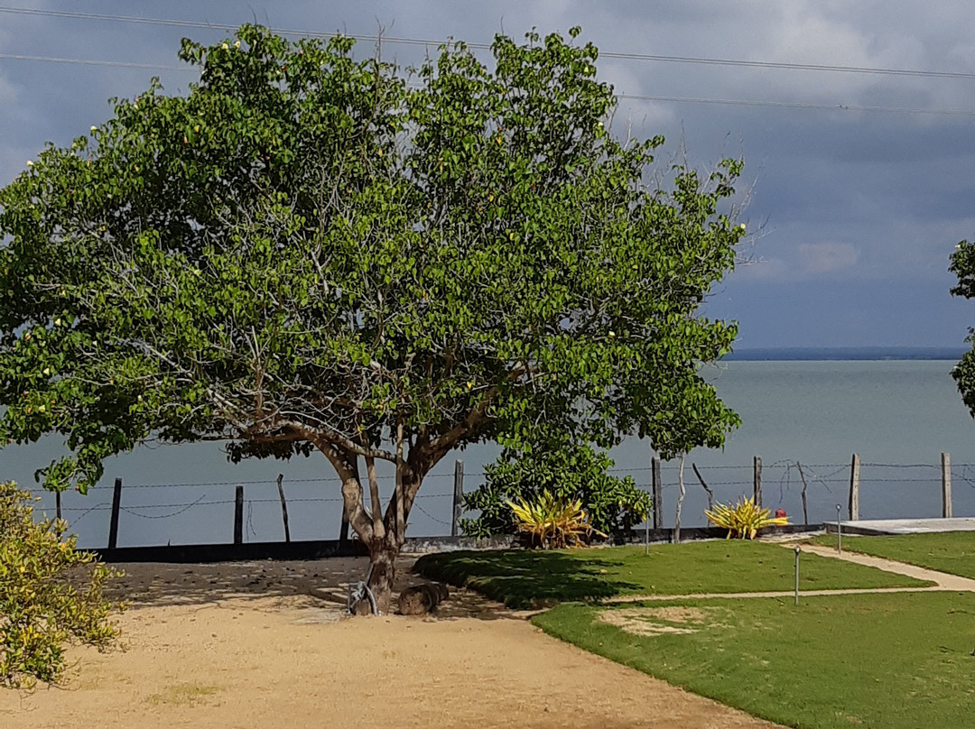 拉尔亚泻湖酒店主图