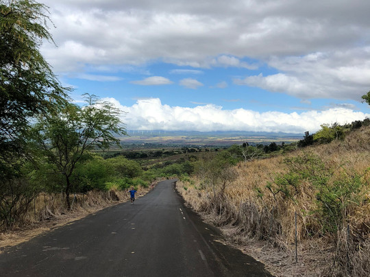 North Shore Tour Guide