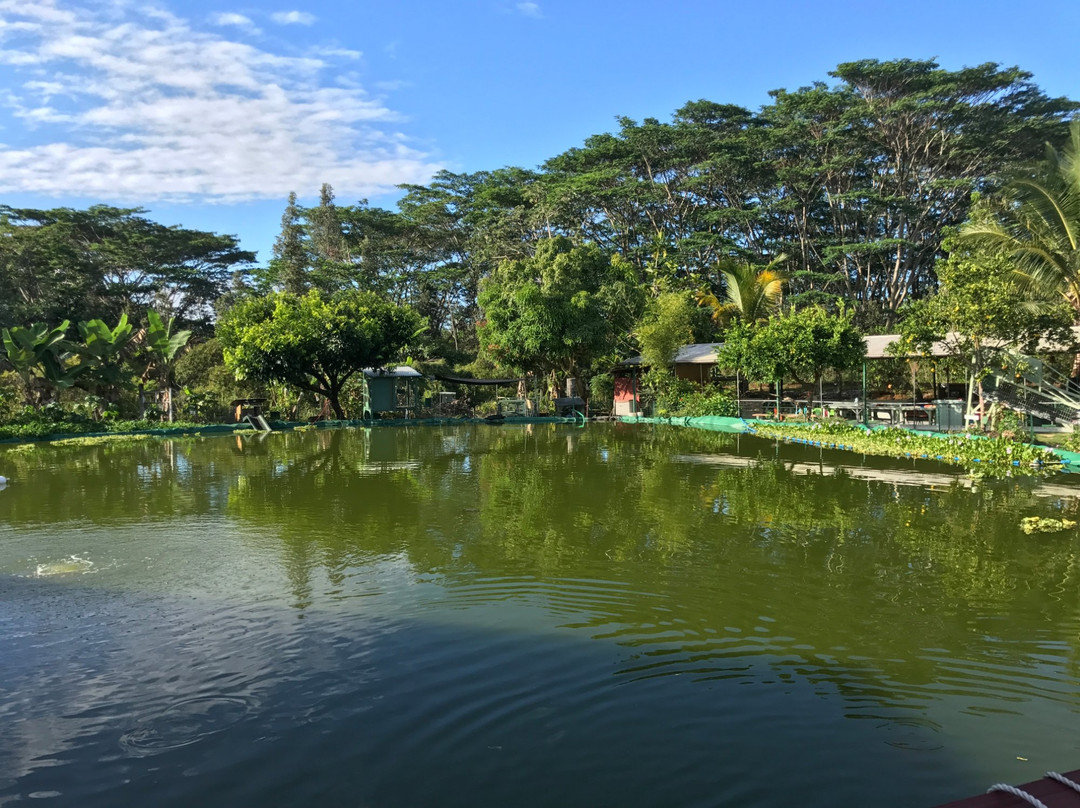 Ainaloa旅游景点-夏威夷爱好花园