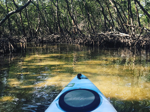 Kayaking SRQ Tours and Rentals