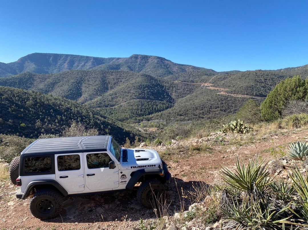 Woodchute Trail #102