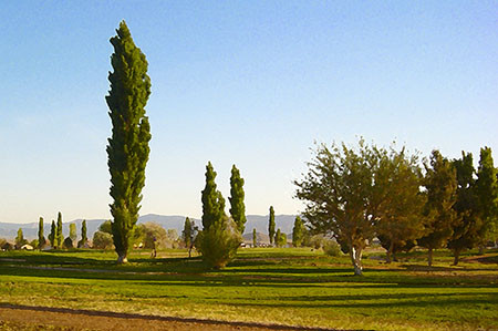 Valle Vista Country Club-金曼必去景点