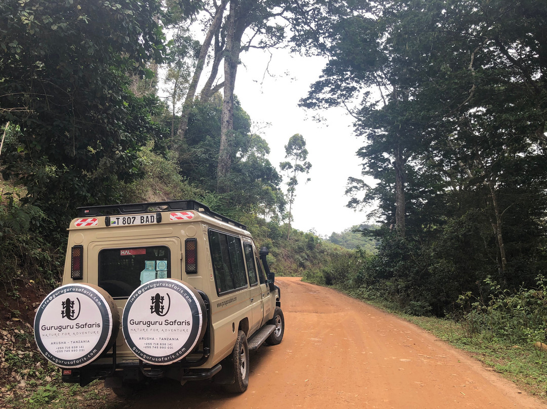 Guruguru Safaris-阿鲁沙必去景点