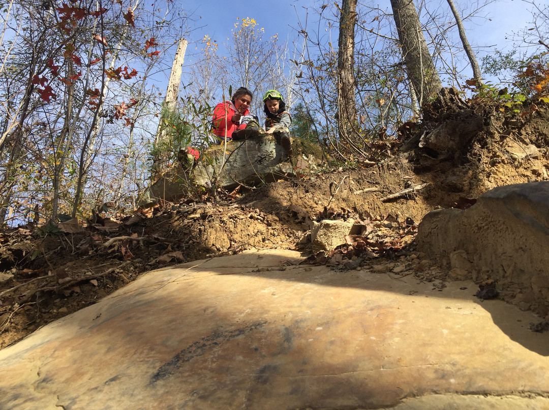 Stony Lonesome OHV Park景点图片