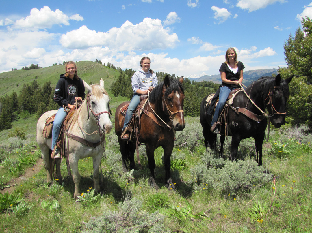 Jackson Hole Pack Trips and Trail Rides-杰克逊必去景点