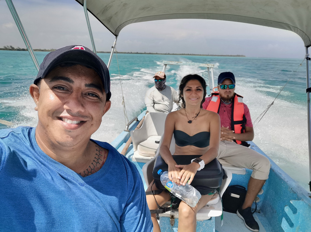 Wild Dolphin Tour-图伦必去景点