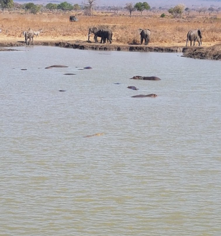 Martins Safaris-米库米国家公园必去景点