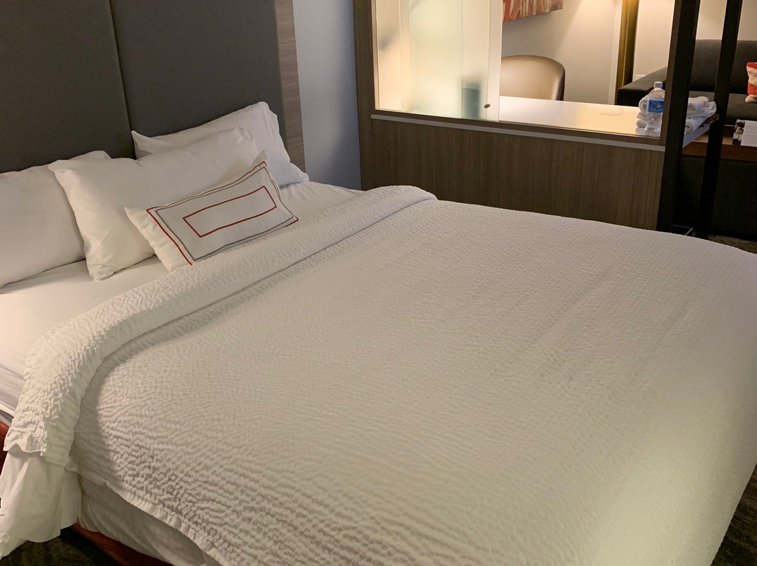 Springhill Suites Athens Downtown / University Area主图