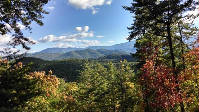 Outdoors In The Smokies景点图片