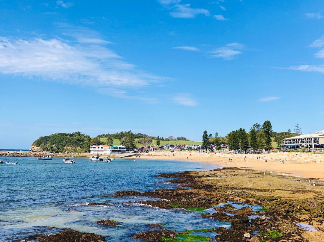 Terrigal Beach景点图片