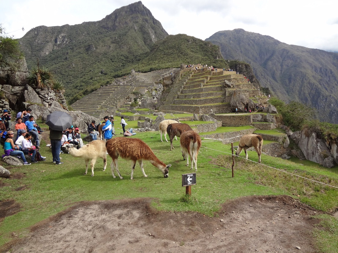 Jat Peru Adventures景点图片