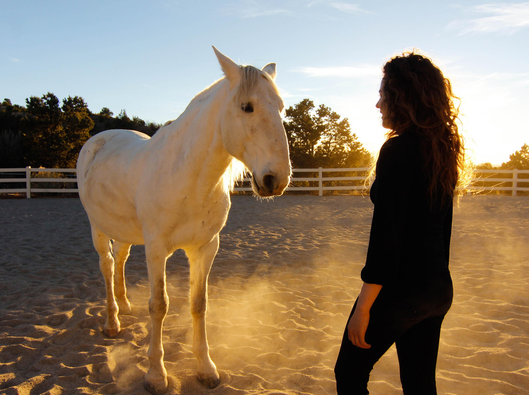 Bridgit Wald-博尔德必去景点