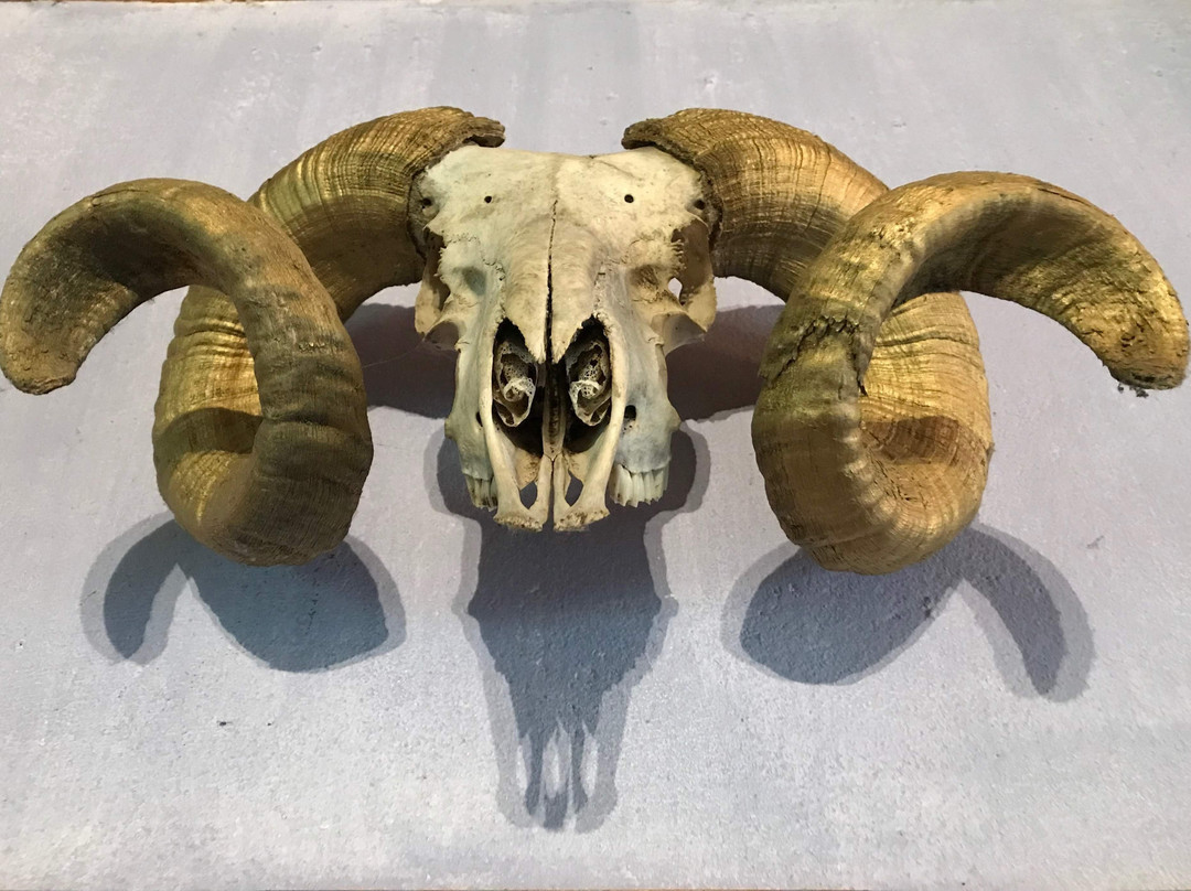 Celtic and Prehistoric Museum-凯里郡必去景点