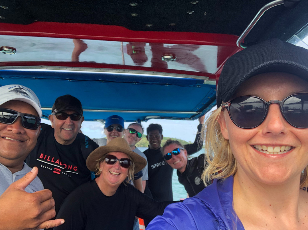 Whales in the Wild-Neiafu必去景点