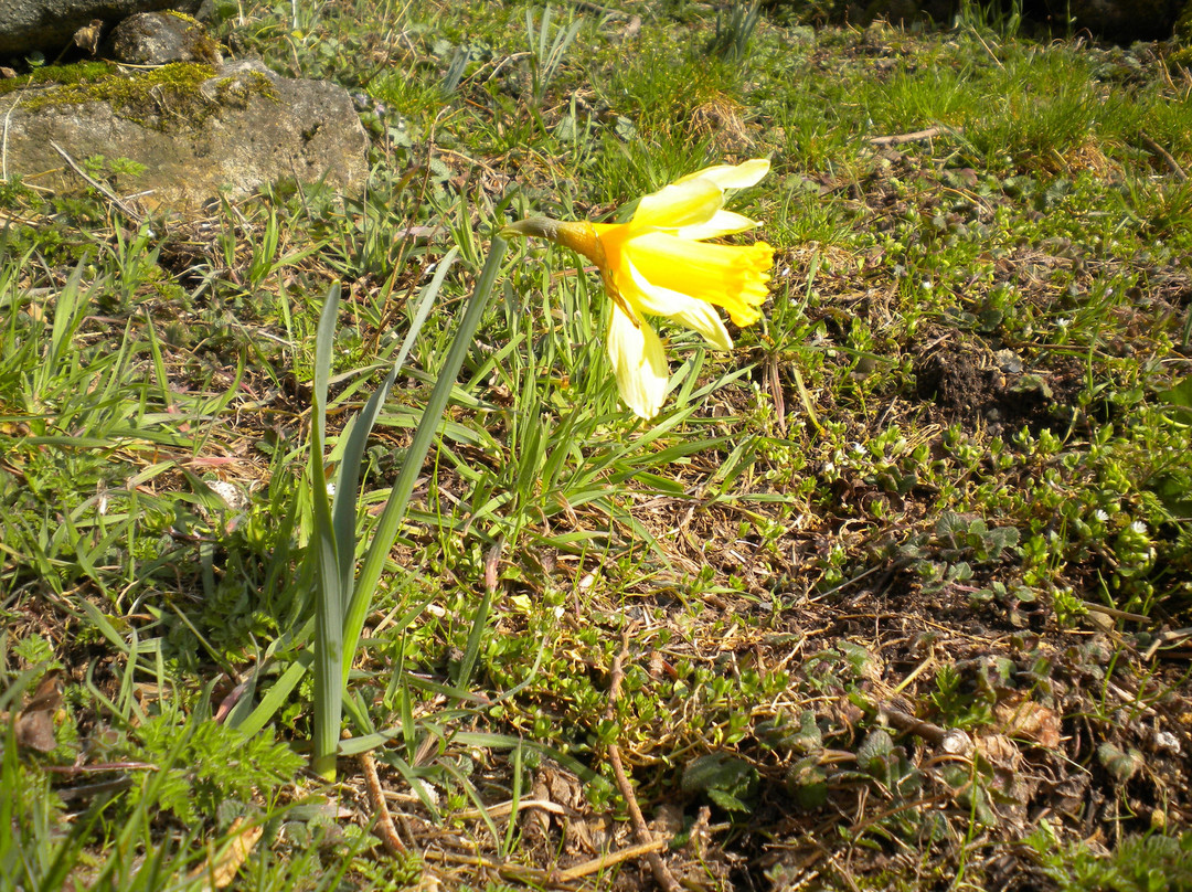 Sainte-Eulalie旅游攻略图片