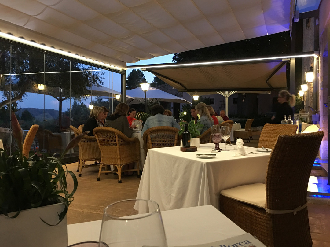 Hotel Rural S'Olivaret主图
