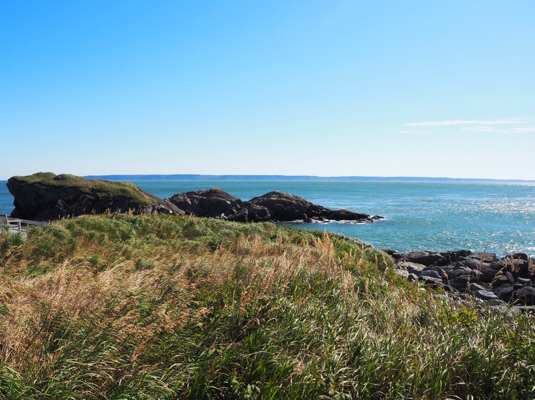 Campobello Sightseeing景点图片