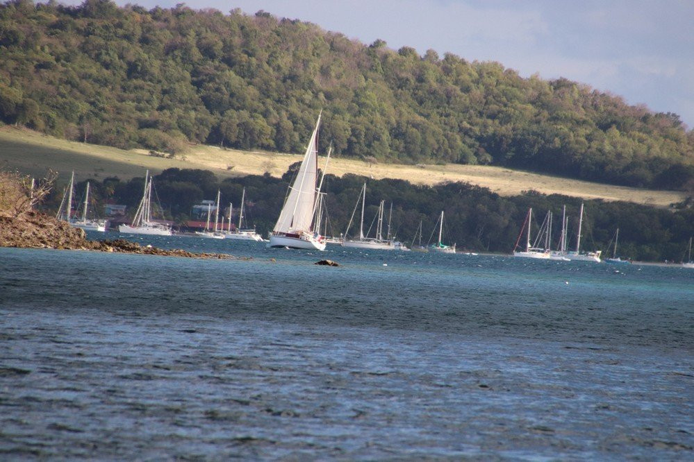 Pointe Borgnese-Le Marin必去景点