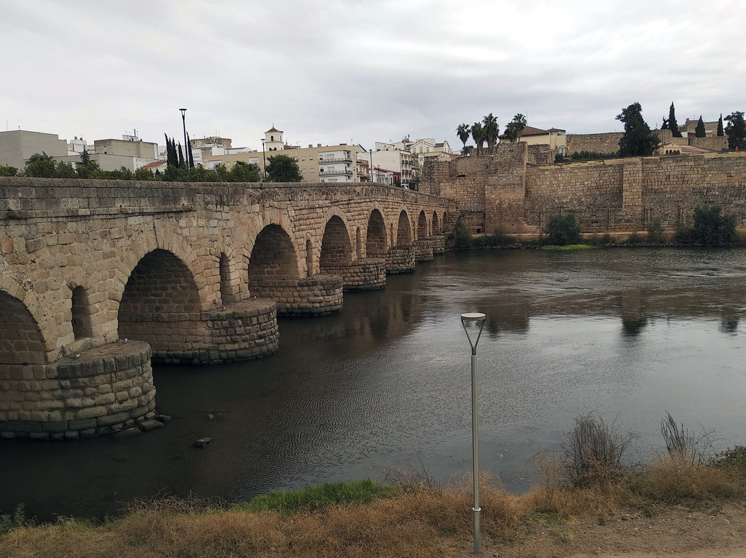 Puente Romano景点图片