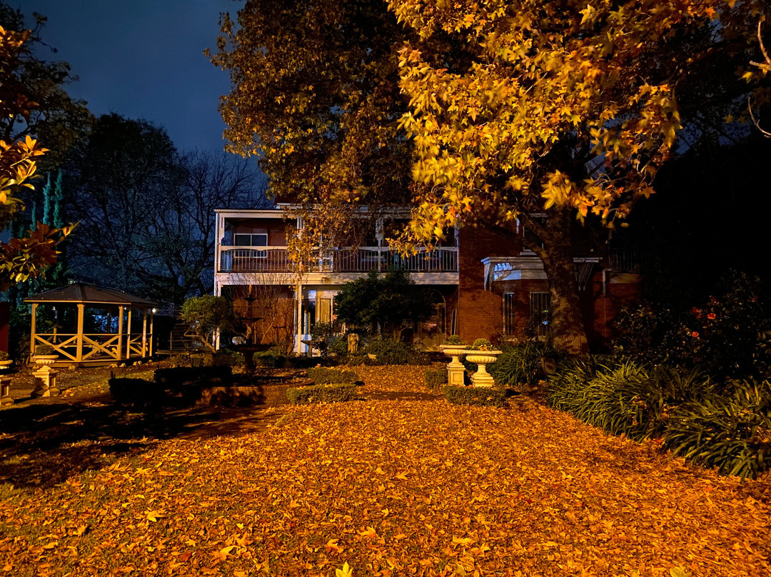 St Matthew's Anglican Church-奥尔伯里必去景点