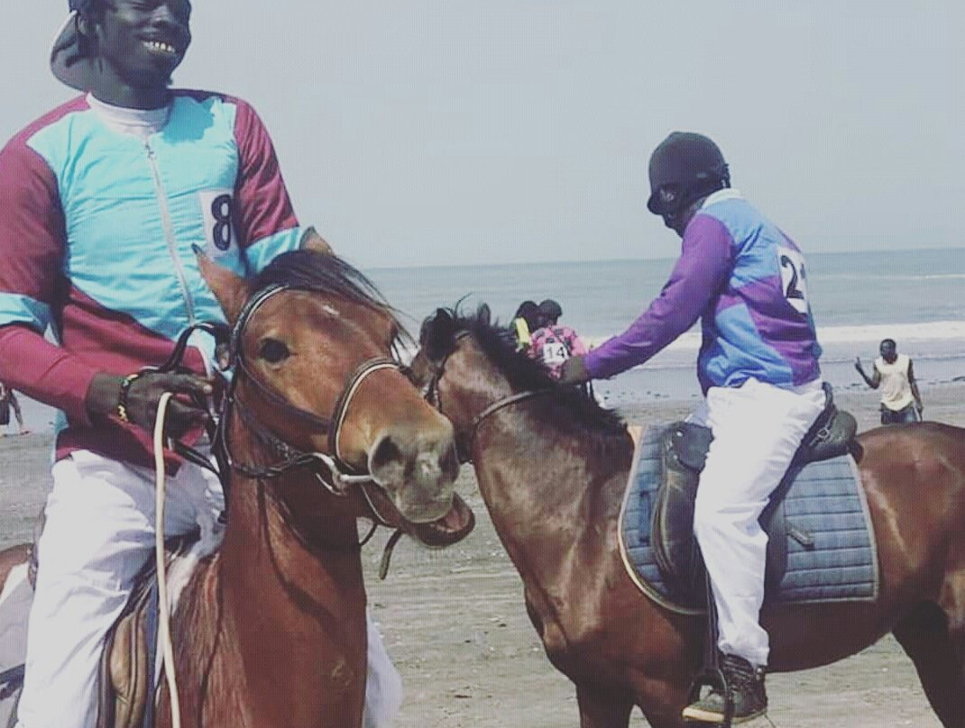 Kotu Horses景点图片