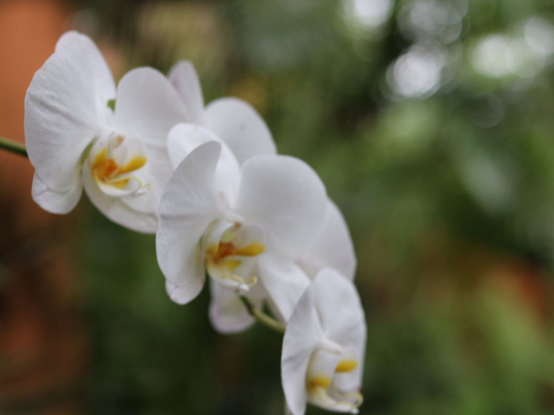 Pousada Mangabeiras主图