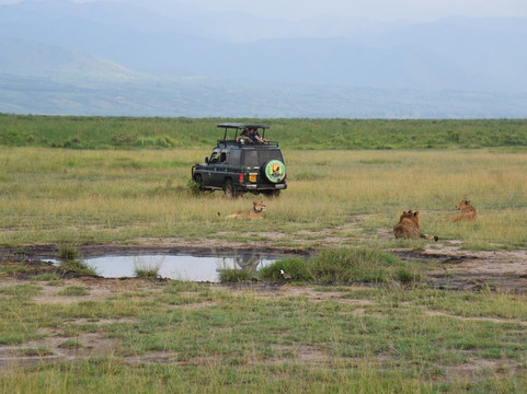 Pamoja Tours & Travel-恩德培必去景点