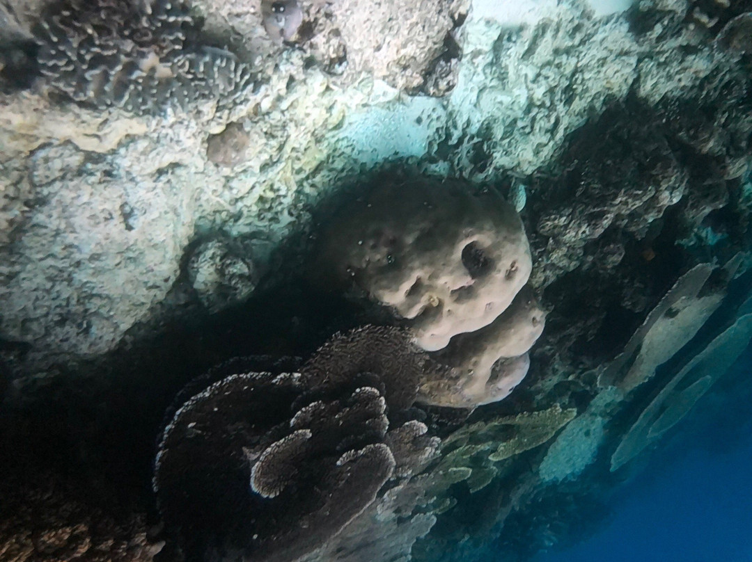 Friwen Island-Friwen必去景点