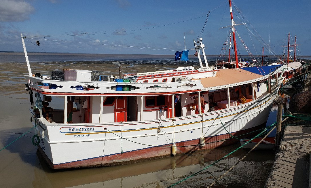 Vieux Port-卡宴必去景点