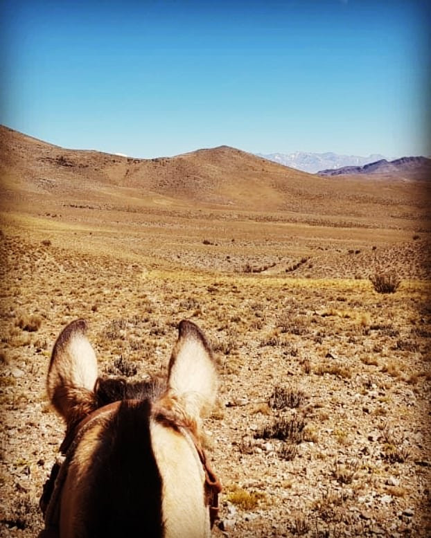 Reserva Natural Villavicencio-Las Heras必去景点