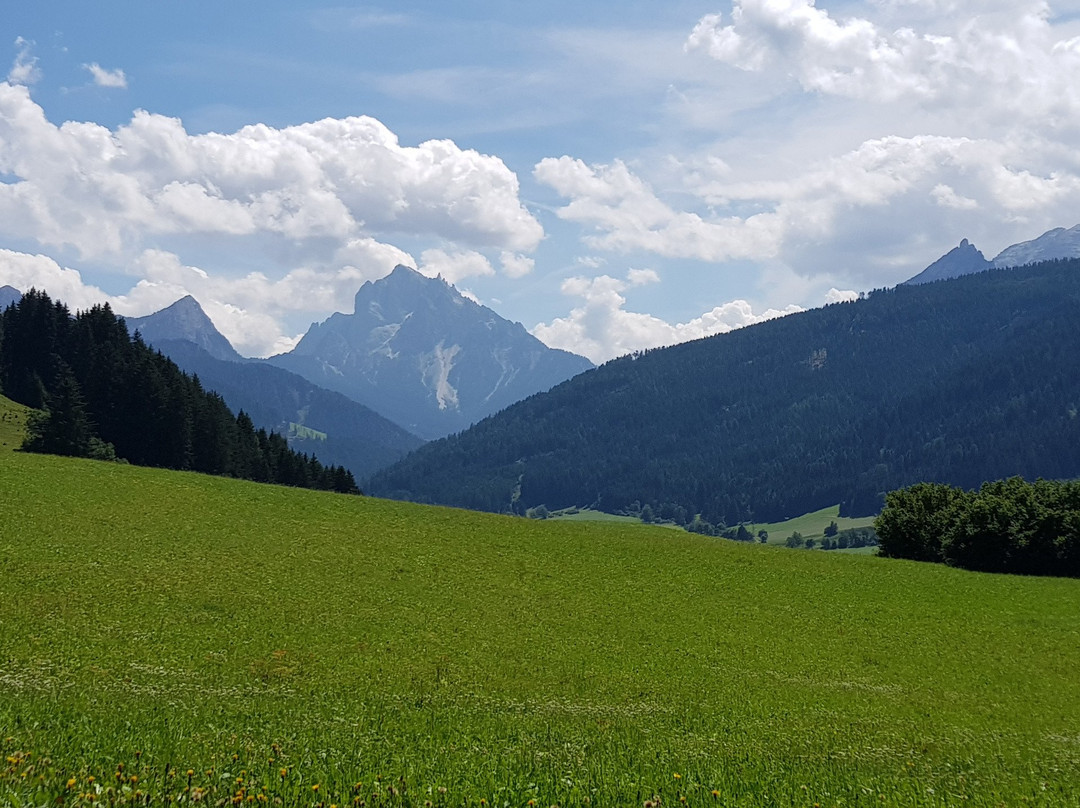 Sentiero di Castel Welsperg-蒙圭尔福-泰西多必去景点
