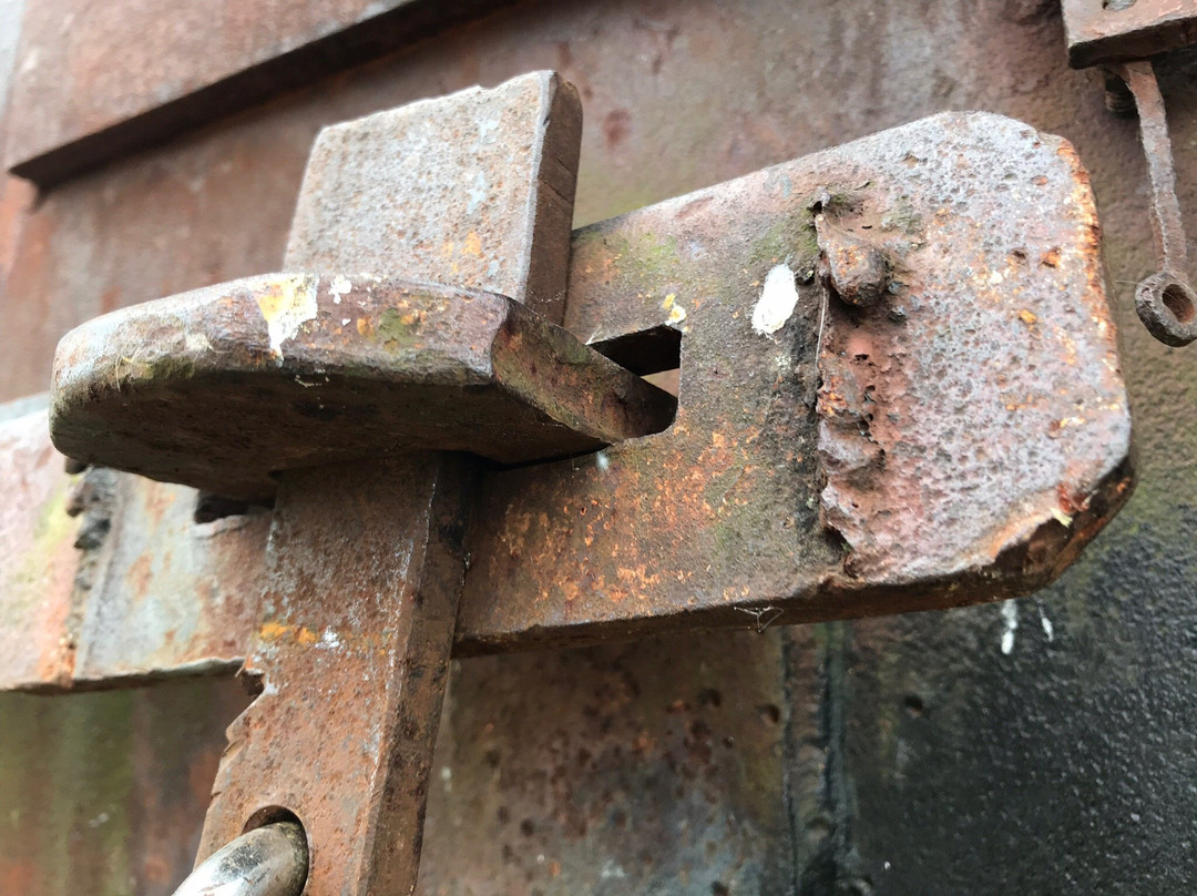 August A. Busch Memorial Conservation Area-圣查尔斯必去景点