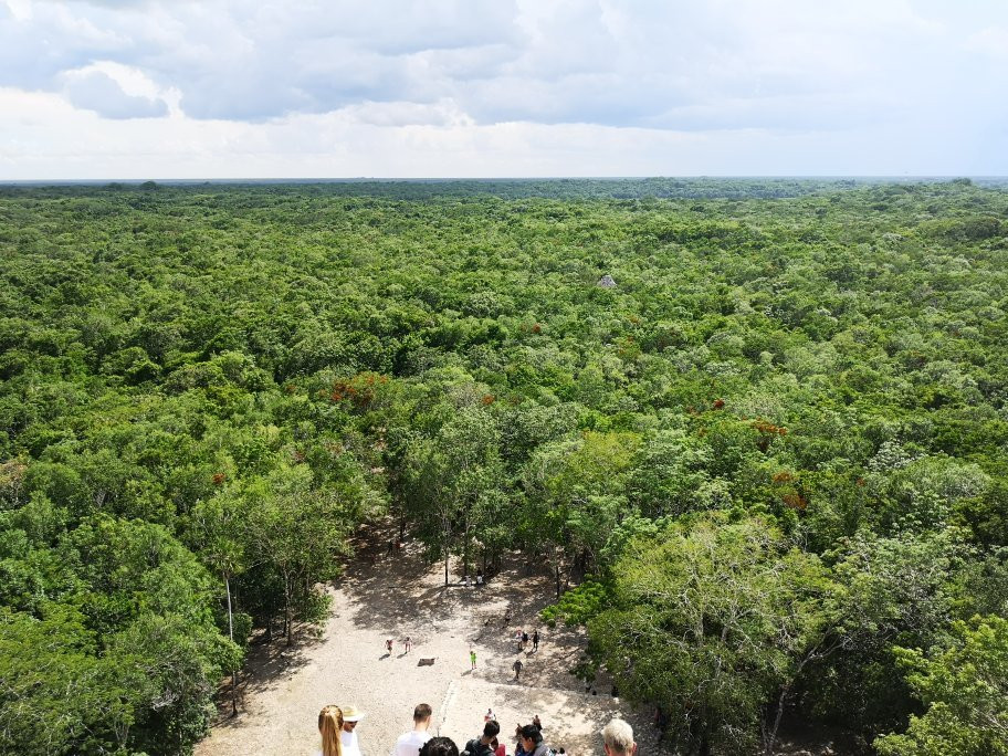 Blue Bus Tours-墨西哥城必去景点