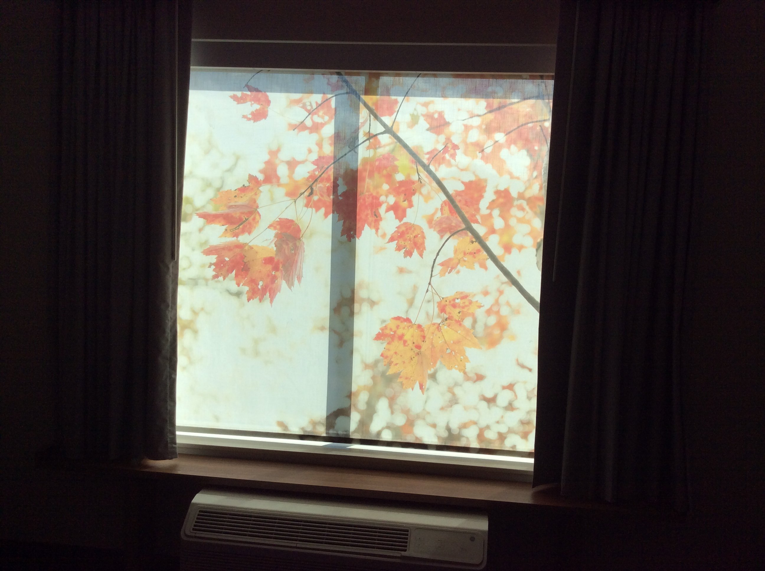 Fairfield Inn & Suites Santee-酒店景观