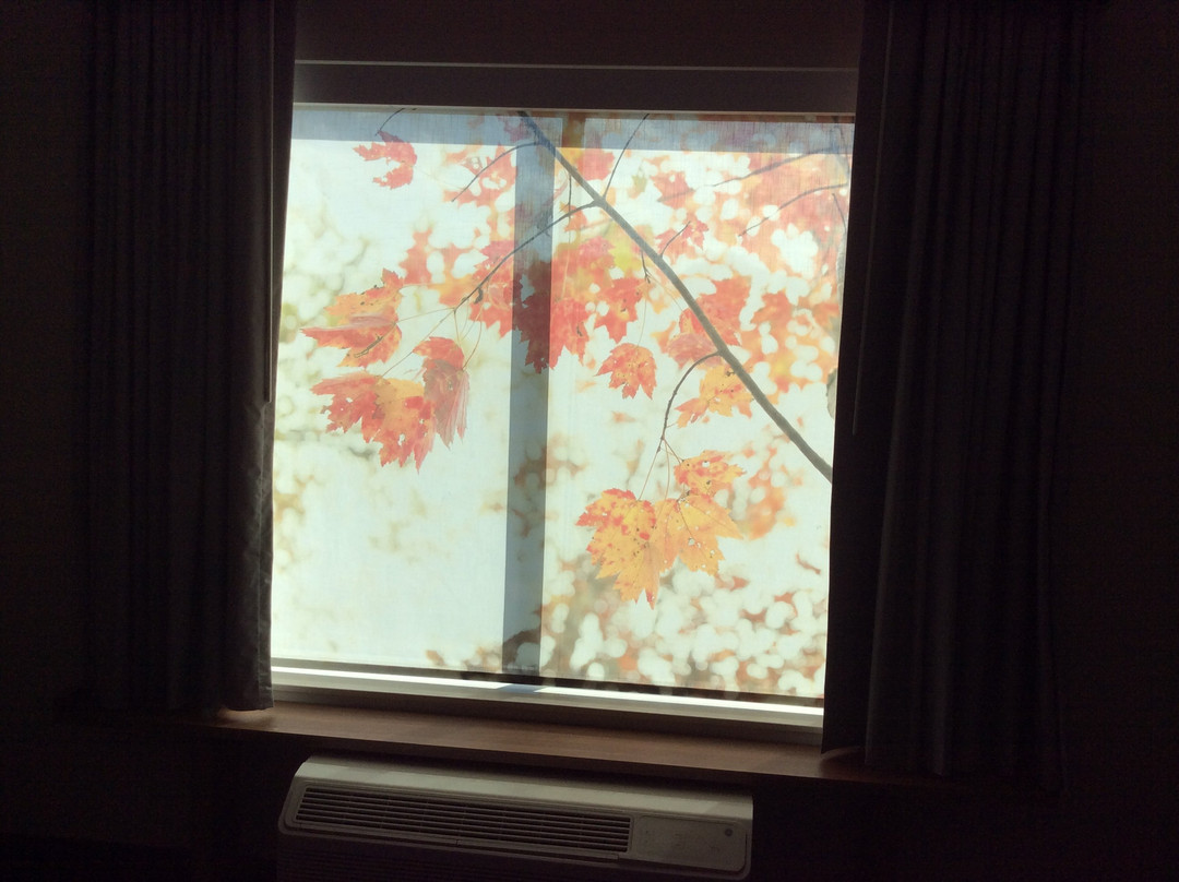 Fairfield Inn & Suites Santee主图