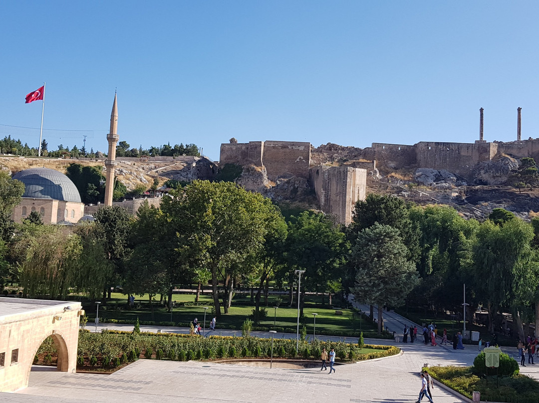 Sehrazat Konagi主图