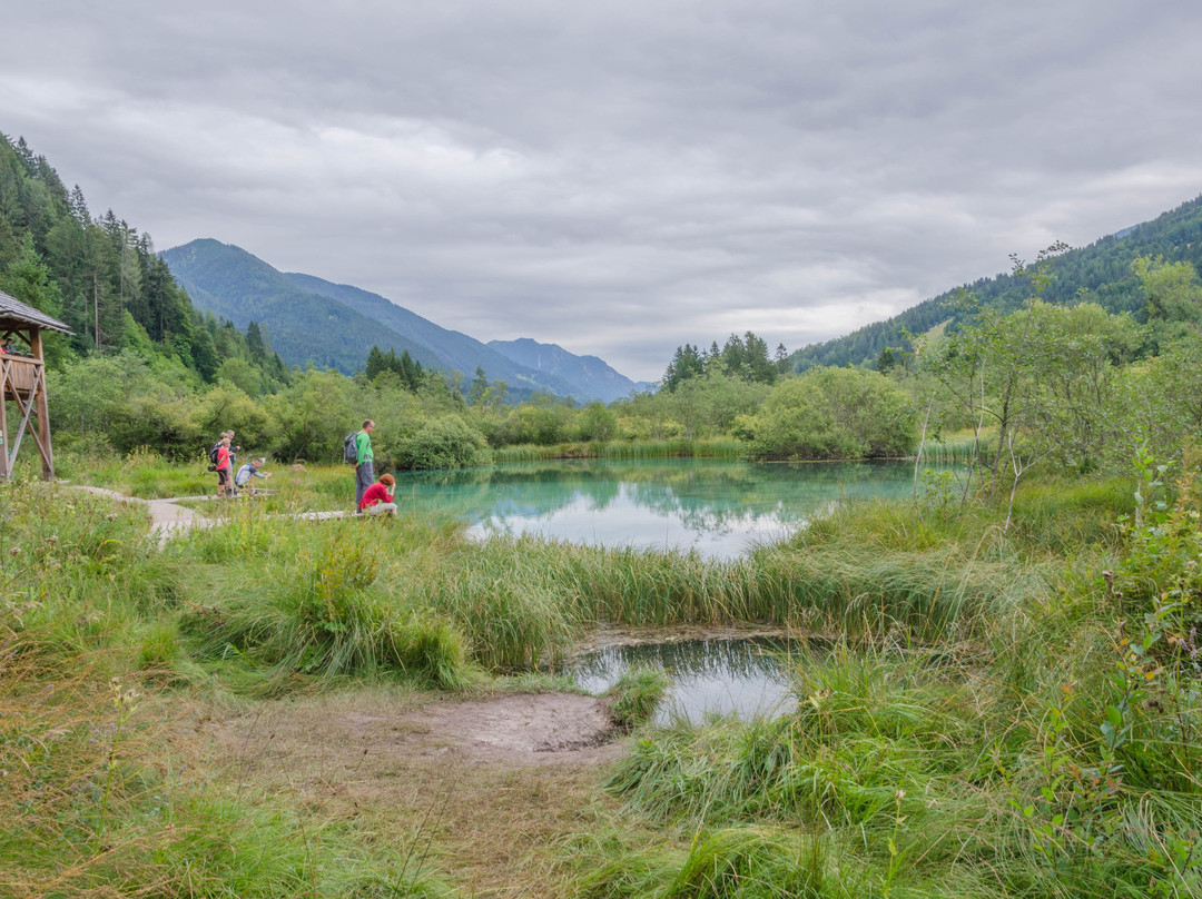 Zelenci Nature Reserve景点图片